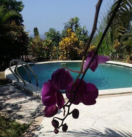 West Bali Villas-Umasari Resort Negara  Luaran gambar