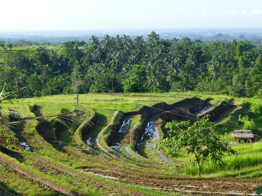 West Bali Villas-Umasari Resort Negara  Bilik gambar