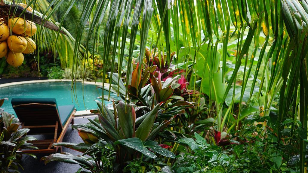 West Bali Villas-Umasari Resort Negara  Luaran gambar