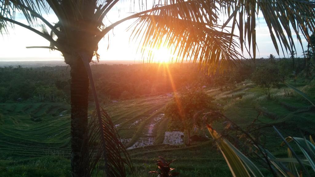 West Bali Villas-Umasari Resort Negara  Luaran gambar