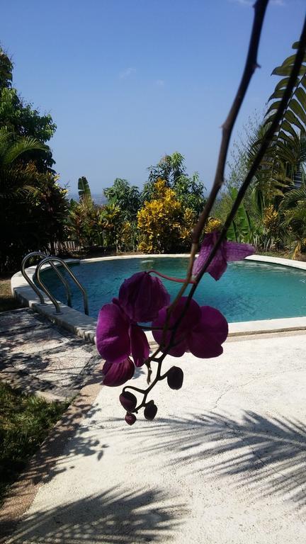 West Bali Villas-Umasari Resort Negara  Luaran gambar